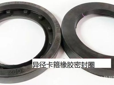 氟橡胶密封圈
