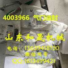  玉博橡胶密封件制品厂 主营 全车油封 气门油封 工